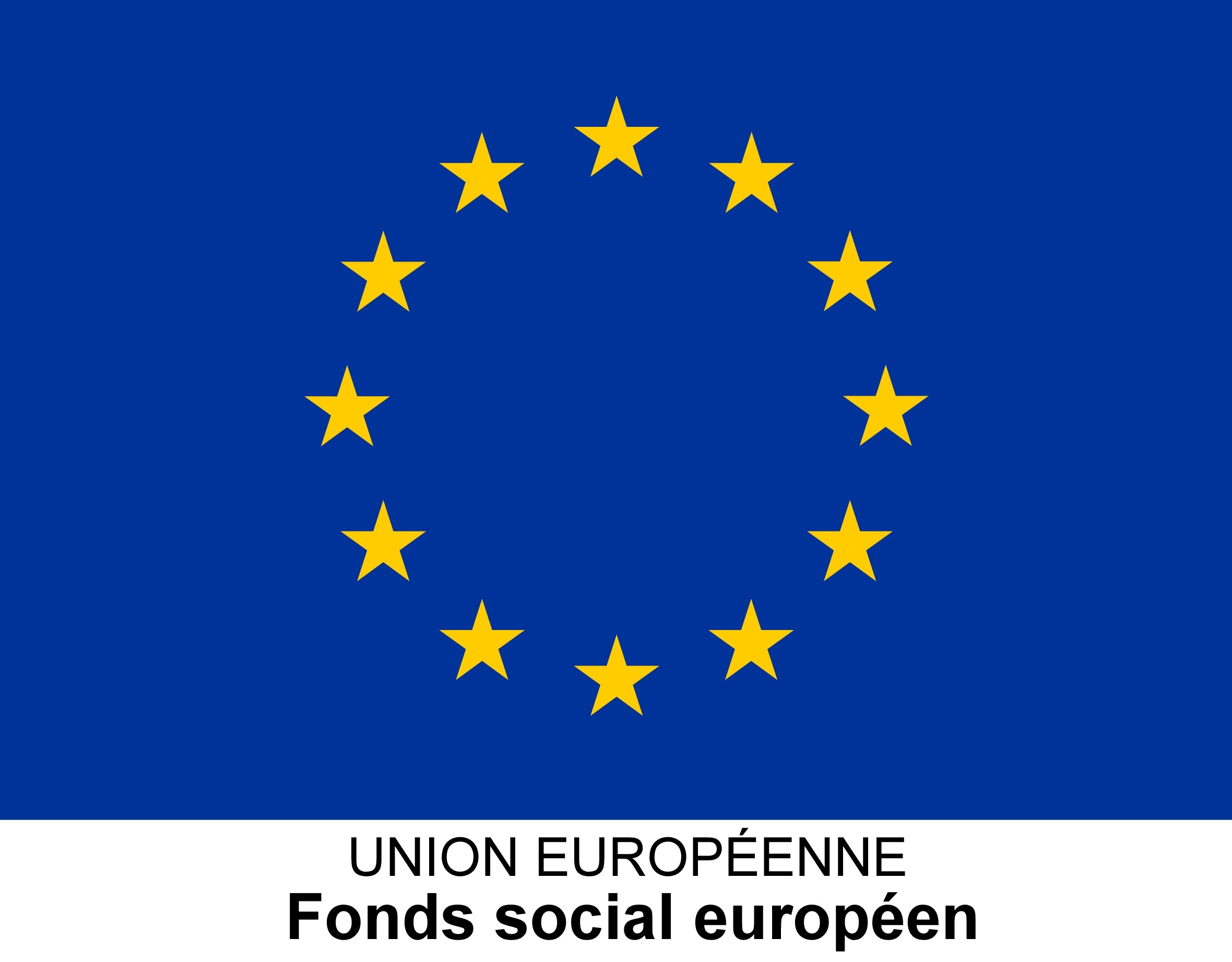 LE_DRAPEAU_EUROPEEN__PROJETS_FSE_HORS_IEJ_